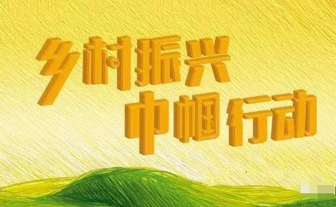 陕西省妇女联合会关于开展“乡村振兴巾帼行