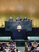 中国代表团出席联大纪念北京世妇会30周年高