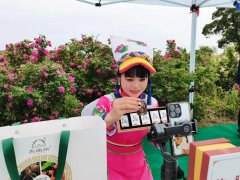 巾帼好网民故事 | 龙淑慧：用镜头让家乡被看